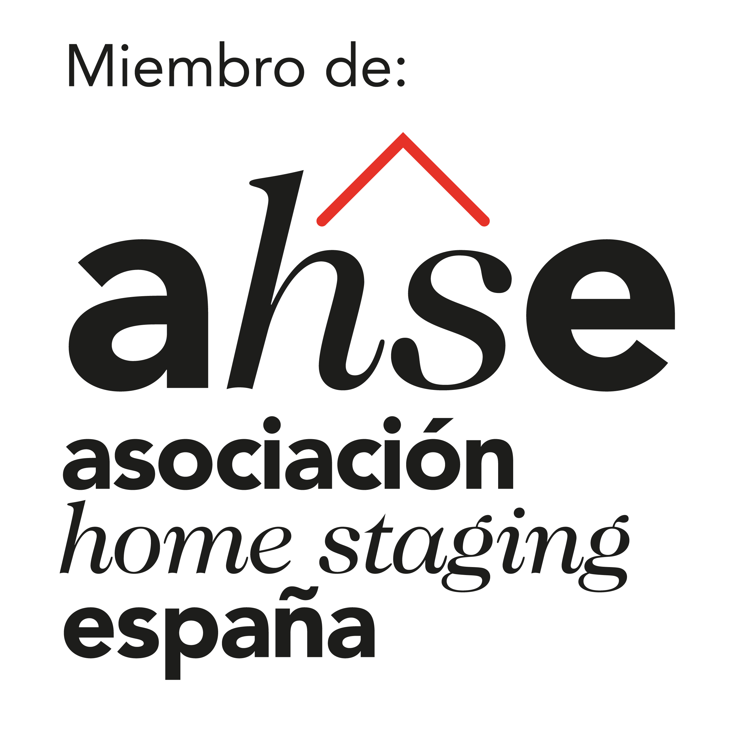 AHSE-logo_tejado