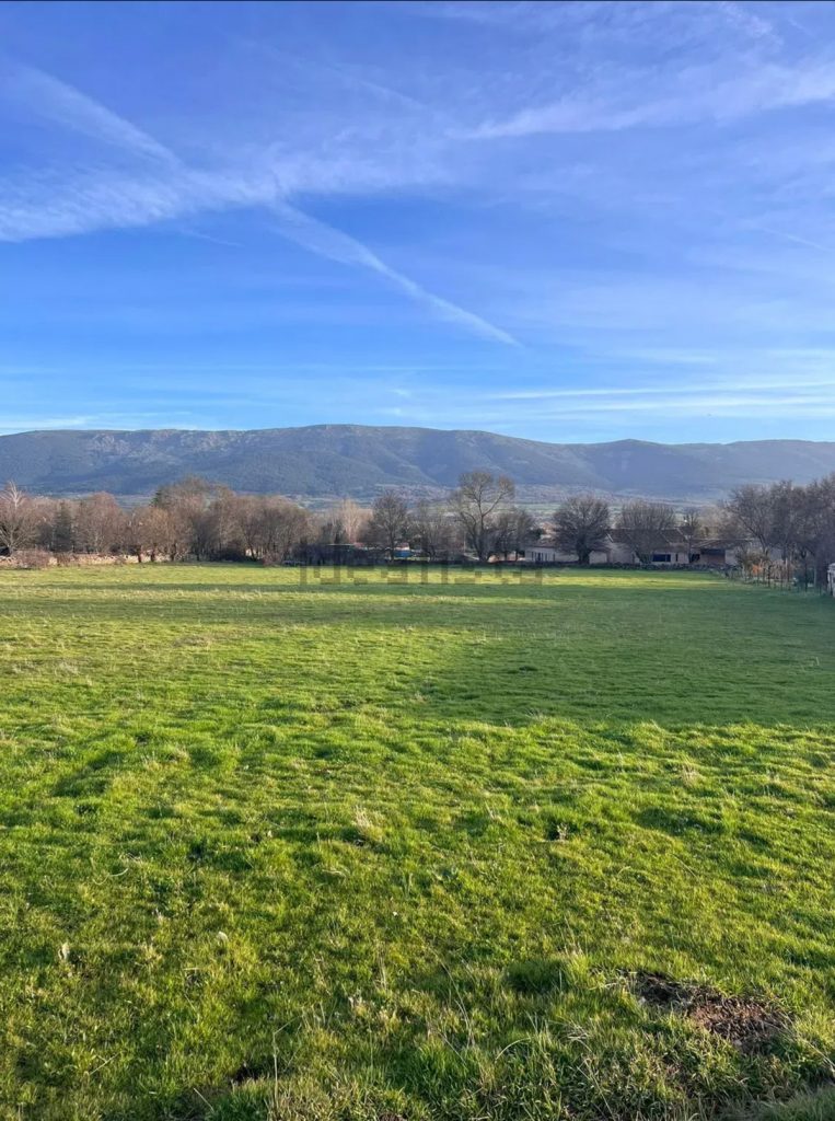Terreno en venta en Camino de Matamala a Pedraza