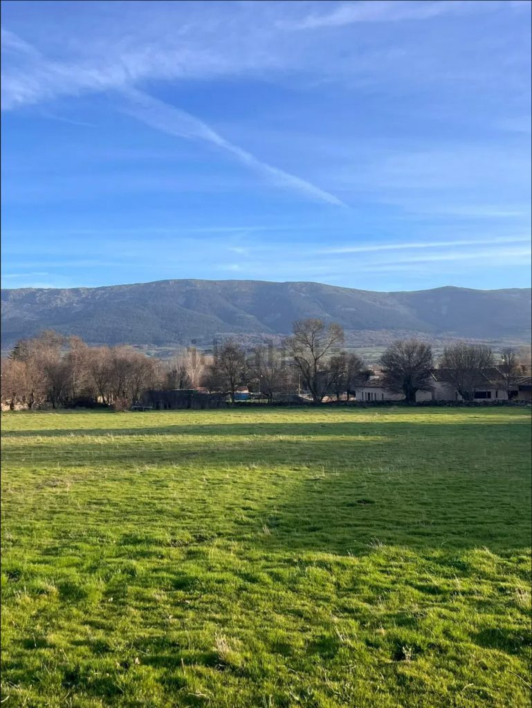 Terreno en venta en Camino de Matamala a Pedraza