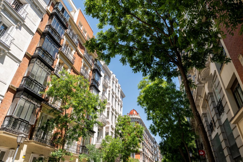 Jorge Juan 6 en alquiler en Sofimar Real Estate